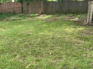 Leaf Removal by Peter Conley for Mona S. in Akron, OH