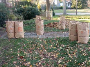 Leaf Removal by Eileen Hirschman for Anna S. in Penn Valley, PA