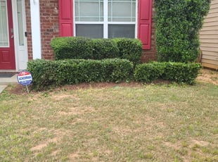 Bush Trimming by Chris Towery for Ayobami C. in Lawrenceville, GA