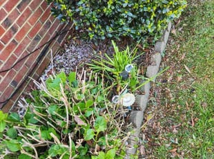 Weeding by Jay M for Leroy B. in Norfolk, VA