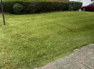 Bush Trimming by Dave Ehrenberg for Charles T. in Columbus, OH