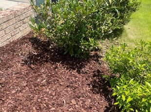 Mulching by Lakeisha Henderson for Ray W. in Durham, NC