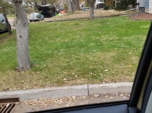 Leaf Removal by Kyle Anderson for Steve J. in Minneapolis, MN