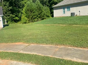Donna C.'s Lawn Service service result