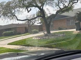 Leo P.'s Lawn Care service result