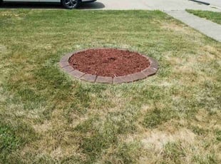 Mulching by Jaden Benn for Elizabeth J. in Louisville, KY