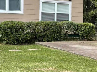 Bush Trimming by Herschell Bradley for Wissam S. in Tallahassee, FL