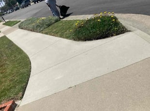 Bush Trimming by George Islas for Corey C. in Huntington Beach, CA