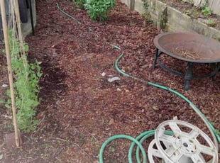 Weeding by Robert Pittman for Winston T. in Columbus, OH
