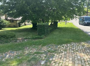Bush Trimming by Nikki Johnson for Dorcas D. in West Mifflin, PA