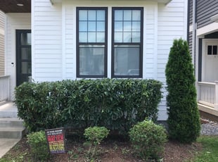 Bush Trimming by Christopher Darnell for Courtney G. in Nashville, TN