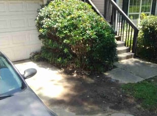 Bush Trimming by Lacie and Don Moore for Jack B. in Loganville, GA