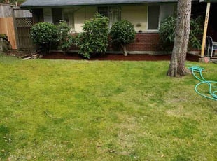 Bush Trimming by Coben Varland for Katherine P. in Redmond, WA