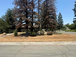 Cleanups by Dustin Espinoza for Jervis D. in Fresno, CA