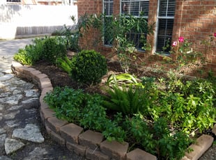 Cleanups by JOSE RIVERA for Holland W. in Spring, TX