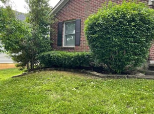 Bush Trimming by Gavin Rogers for Galen M. in Lexington, KY