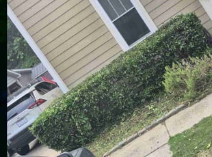 Bush Trimming by Shanta Privette for Katherine S. in Raleigh, NC