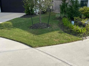 Tracey B.'s Lawn Service service result