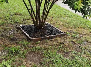 Mulching by Raul Lara Romero for Holly G. in Mesquite, TX