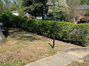 Leaf Removal by Kevin Moses for Anna S. in Richmond, VA