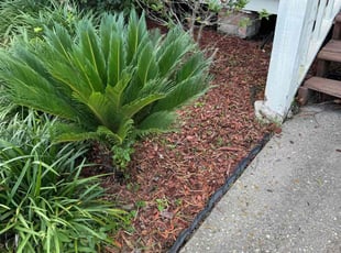Weeding by Marcus Simon for Courtney S. in Baton Rouge, LA