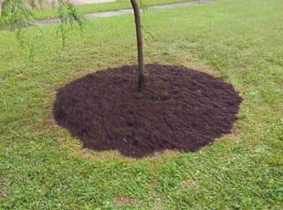 Mulching by Troy Herman for Phil G. in Fort Wayne, IN