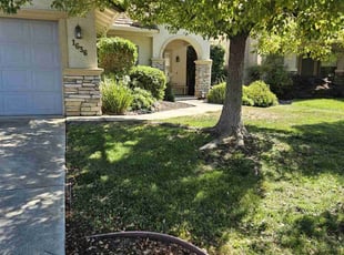 Bush Trimming by Christopher Agostini for Robert V. in Lincoln, CA