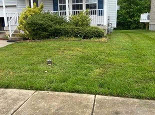 Adriana L.'s Lawn Mowing Service service result