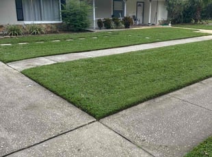 Vickie D.'s Lawn Service service result
