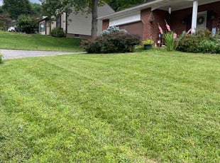 Tina K.'s Lawn Service service result