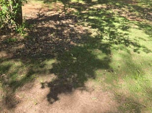 Cleanups by Crystal Murillo for Gary H. in Conyers, GA