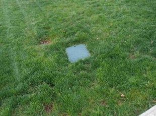 Ammar I.'s Yard Cutting service result