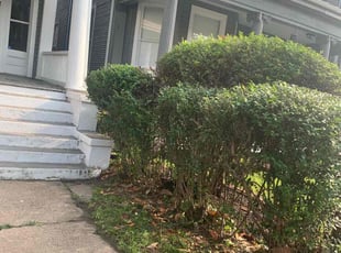 Cleanups by Dustin Rowland for Calla A. in Petersburg, VA