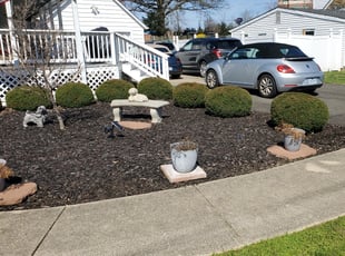 Weeding by Rose Valle for Tammy C. in Alexandria, VA
