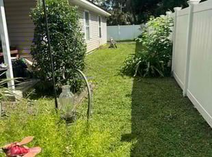 Susan R.'s Lawn Mowing service result