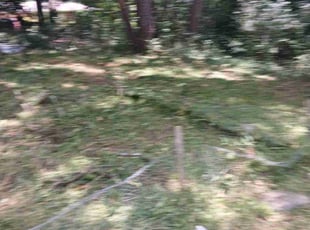Weeding by Joshua Walker for Jamell H. in Decatur, GA