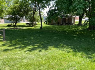 Dorian D.'s Grass Cutting service result