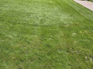 Karl R.'s Lawn Service service result
