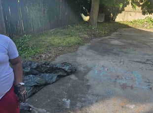 Cleanups by Albert Brown for Jake G. in Boston, MA