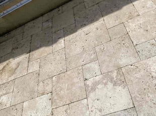 Weeding by Nicodemo Soto for Paul S. in Palm Beach Gardens, FL