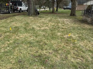 Leaf Removal by Japheus Sanders for Vernette G. in Southfield, MI