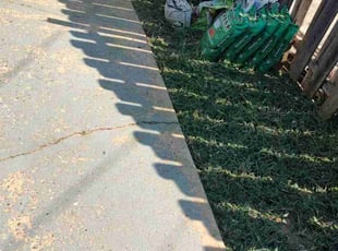Tull B.'s Lawn Care service result