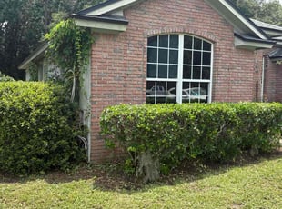 Bush Trimming by Lynn Jeremiah for Thomas F. in Jacksonville, FL