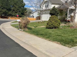 Leaf Removal by Adrienne Chavez for Jennifer K. in Thornton, CO