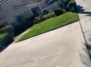 Jack M.'s Lawn Mowing service result