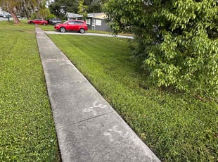 Jason j.'s Lawn Service service result