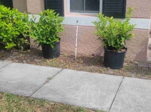 Landscaping by Carlos Martinez for Regina Z. in Davenport, FL