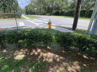 Bush Trimming by Ramon Taguja for Robert S. in Lakeland, FL