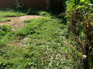 Weeding by Ararat Ray for Joseph O. in Kansas City, MO