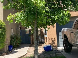 Bush Trimming by Hugo Lopez for Kyle V. in Murrieta, CA